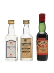 Booths Finest & Hawker's Sloe Gin