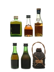 Assorted Cognac & Armagnac Bisquit, Napoleon, Marnier Lapostolle,  Remy Martin, Richelieu 6 x 3cl-5cl