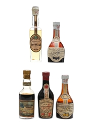 Dolfi Liqueurs Bottled 1950s-1960s 5 x 5cl
