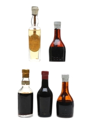 Dolfi Liqueurs Bottled 1950s-1960s 5 x 5cl