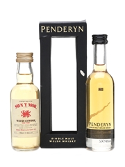 Penderyn Aur Cymru & Swn Y Mor Welsh Whisky 2 x 5cl