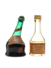 Cusenier Calvados & Saint Vivant Armagnac Bottled 1960s-1970s 2 x 5cl