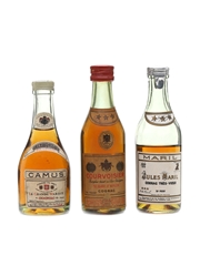Camus, Courvoisier & Maril Cognac Bottled 1950s-1960s 3 x 3cl-5cl