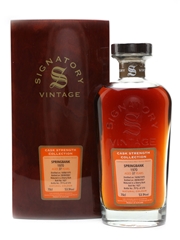 Springbank 1970 37 Year Old Bottled 2007 - Signatory Vintage 70cl / 53.9%