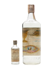 Sauza Tequila Bottled 1960s - Pedro Domecq 5cl & 75cl