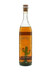 Porfidio Single Barrel Anejo Tequila Cactus Bottle 75cl / 40%