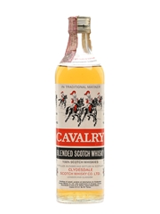 Cavalry 5 Year Old