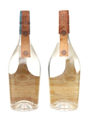 Buton Kirsch & Slivovitz Bottled 1960s 2 x 75cl / 45%