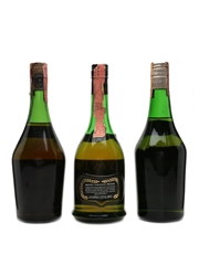 Chatelle Freres, Napoleon Premier Brandy & Ramazzotti Chateau La Victoire Bottled 1960s-1980s 3 x 75cl