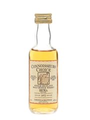Brora 1972 Connoisseurs Choice Bottled 1990s - Gordon & MacPhail 5cl / 40%