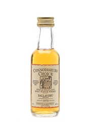 Dallas Dhu 1973 Bottled 1990s - Connoisseurs Choice 5cl / 40%