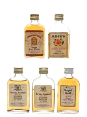Assorted Blended Scotch Whisky Bottled 1960s - Private Cellar, Rose's, Royal Assent, Royal Gold 5 x 5cl