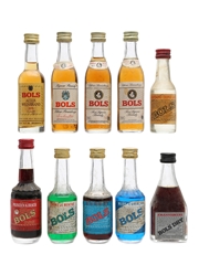 Assorted Bols Liquors 10 x Miniatures 