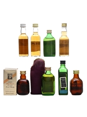 Assorted Blended Scotch Whisky Famous Grouse, Haig, Inver House, Old Parr & Pinwinnie 8 x 4.7cl-5cl