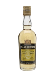 Chartreuse Yellow El Gruno