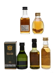 Assorted Blended Scotch Whisky Black & White, Cutty Sark, Dimple, J & B Reserve, Walkers 5 x 5cl