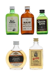 Assorted Blended Scotch Whisky Bottled 1970s - Black & White, Haig, Queen Anne, Stewart's, White Horse 5 x 5cl-5.6cl / 40%