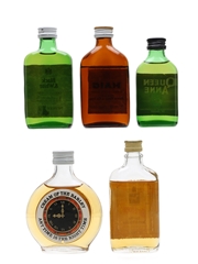 Assorted Blended Scotch Whisky Bottled 1970s - Black & White, Haig, Queen Anne, Stewart's, White Horse 5 x 5cl-5.6cl / 40%