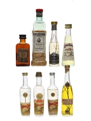 Assorted Italian Liqueurs Amaretto, Millefiori, Galliano, Maraschino, Strega 8 x 3cl-5cl