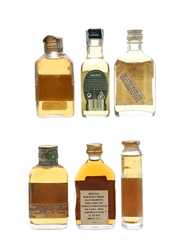 Assorted Scotch Whisky & Bourbon Antiquary, Glen Grant, J & G Grant, Marchants, Walker's, White Stag 6 x 2.5cl-4.7cl