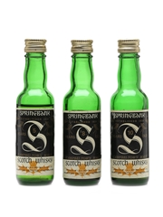Springbank 5, 8 & 10 Year Old Bottled 1970s - Consirzio Vinicolo 3 x 3.7cl / 43%