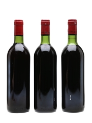 Chateaux Plantey & Bouquey Red Bordeaux 3 x 75cl
