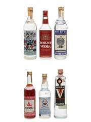 Assorted Vodka Borzoi, Kristal, Pertsovka, Polonez & Vizovicec 6 x 50cl-75cl