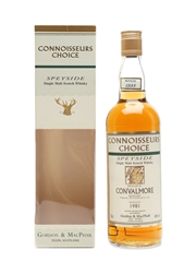 Convalmore 1981 Connoisseurs Choice Bottled 1998 - Gordon & MacPhail 70cl
