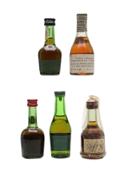 Bisquit, Brugerolle, Courvoisier, Hardy & Larsen Bottled 1960s-1970s 5 x 3cl-4cl / 40%