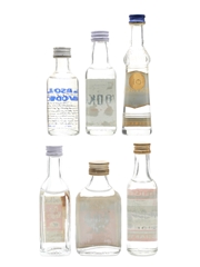 Vodkas Of The World Absolut, Gorbatschow, Harrods, Oso Negro, Romanoff & Stolichnaya 6 x 4cl-5cl