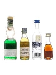 Assorted Spirits & Liqueurs Alpinea, Angelica, Grey Goose, Branca Brandy 4 x 2cl-10cl