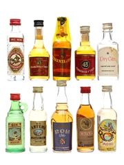Assorted Spanish Liqueurs & Spirits