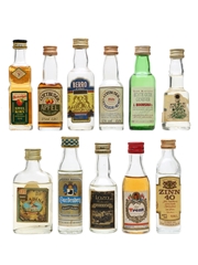 Assorted Spirits & Liqueurs  13 x 3cl-5cl