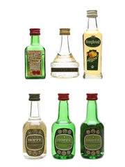 Assorted Dutch Liqueurs Herman Jansen, Hooghoudt, Hoppe & P Bokma 6 x 4cl-5cl