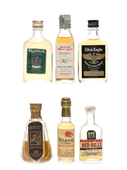 Assorted Blended Whisky Braemar, Duncan MacGregor, Glen Eagle, Huntly, Melrose & Red Hills 6 x 2.5cl-4.5cl