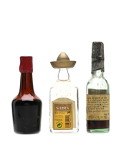 Assorted Spirits & Liqueurs Brandy, Liqueur & Tequila 3 x 4cl-5cl