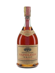 Rochenac Napoleon VSOP Bottled 1970s - Gaboradi 75cl / 40%