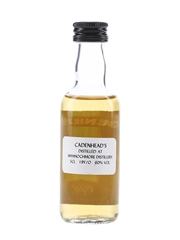 Mannochmore 19 Year Old Bottled 1990s-2000s - Cadenhead's 5cl / 60%