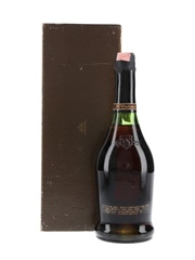 Bisquit Dubouche Extra Vieille Bottled 1980s - Ferraretto 70cl / 40%