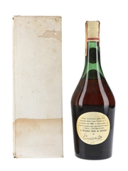 Camus Celebration Cognac Bottled 1960s - Isolabella 73cl / 40%