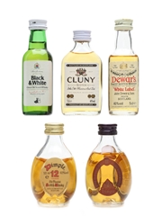 Assorted Blended Scotch Whisky Black & White, Cluny, Dewar's, Dimple 5 x 5cl