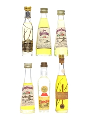 Assorted Italian Liqueurs