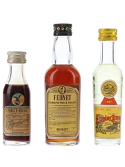 Fernet Branca, Fernet Morey & Strega  3 x 2cl-5.5cl