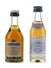 Martell 3 Star VOP & 3 Star VS Bottled 1960s-1970s 2 x 5cl / 40%