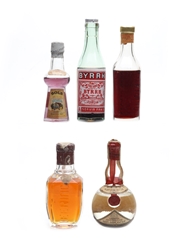 Assorted Liqueurs Bols, Byrrh, Campari, Heering & San Michele 5 x 5cl