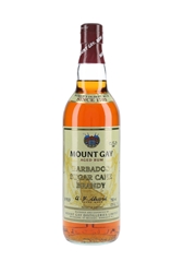 Mount Gay Aged Rum Bottled 1990s 75cl / 43%