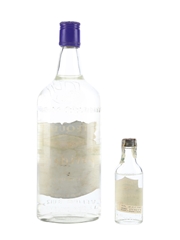Avelino Ruiz Providencia Tequila Bottled 1970s 5cl-75cl / 40%