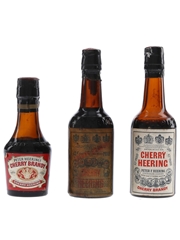 Peter Heering & Cherry Heering Bottled 1970s-1980s 3 x 3cl-5cl / 24%