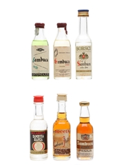 Assorted Sambuca