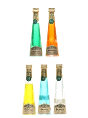 Casoni Cristallizzato Genepy, Mandarinio, Millefiori, Paradise, Sambuca 5 x 4cl / 40%